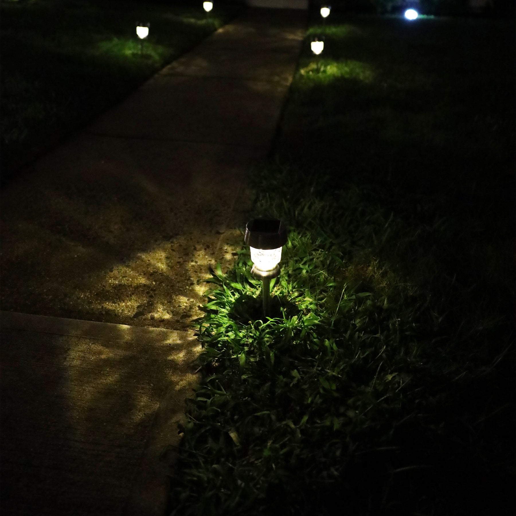 14-inch Stainless Steel Solar Powered LED Pathway Light lighting up a front walkway at night.