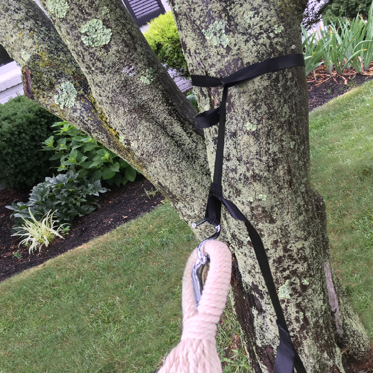 Bliss Hammocks Universal Multi-Loop Suspension System with S Hooks wrapped around a tree and attached to a hammock.