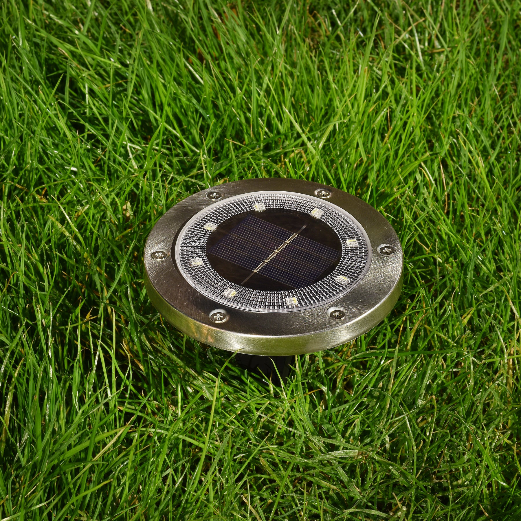Bliss Outdoors Solar Powered LED Metal Disc Pathway light in the grass.