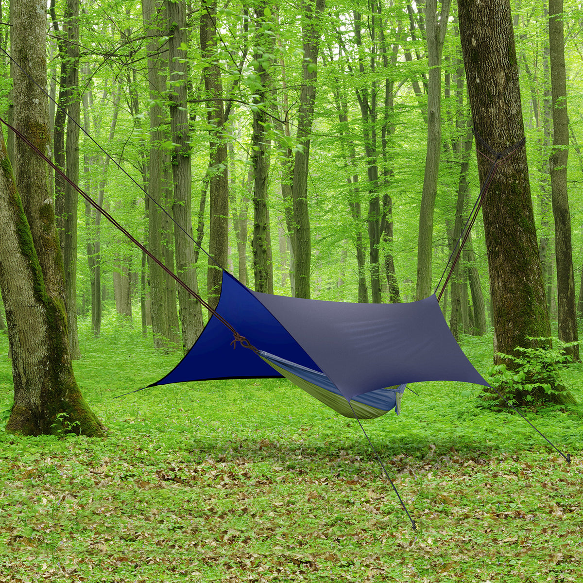 Bliss Hammocks XL Hammock Rain Tarp hung over a camping hammock in the woods.