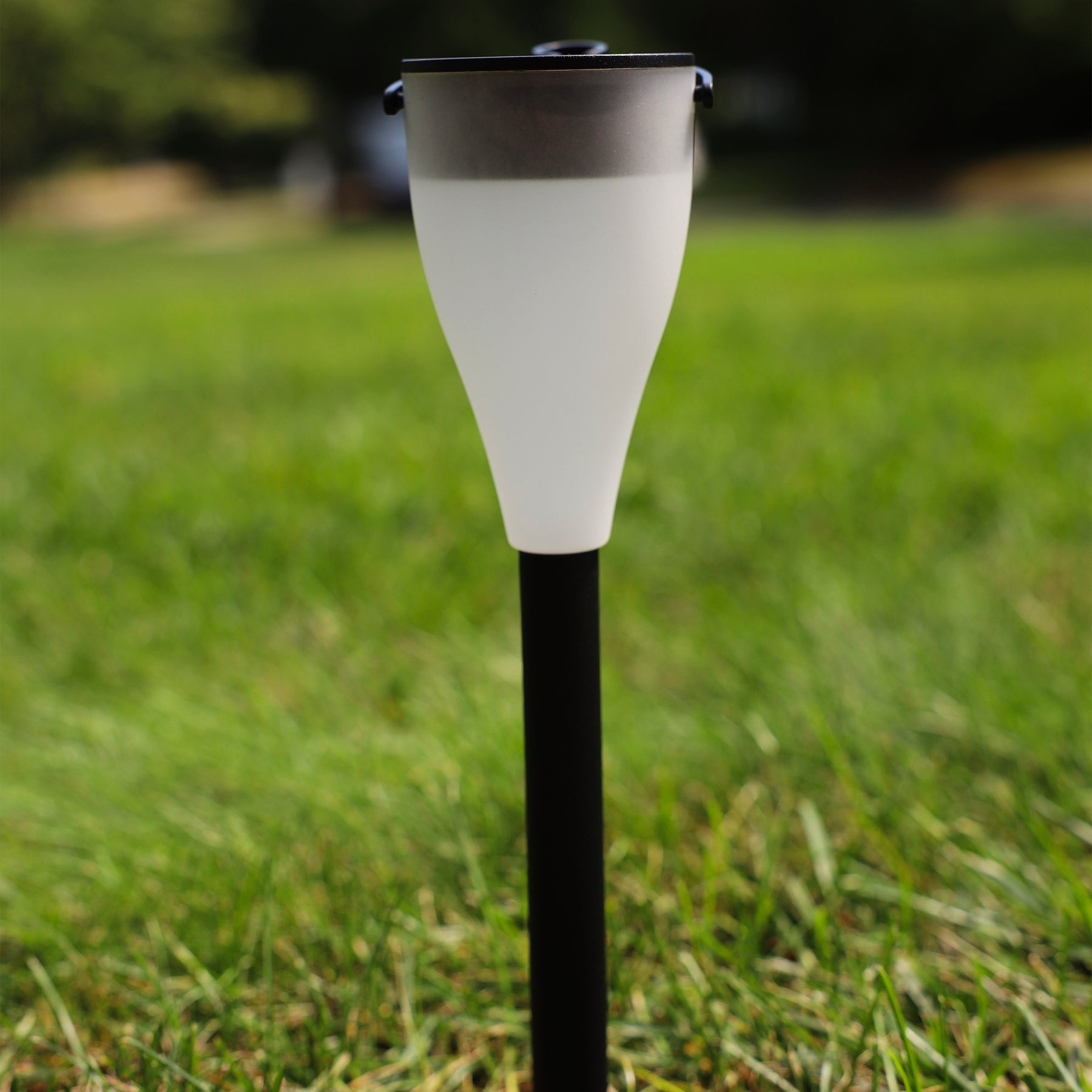Solar LED light staked in the grass.