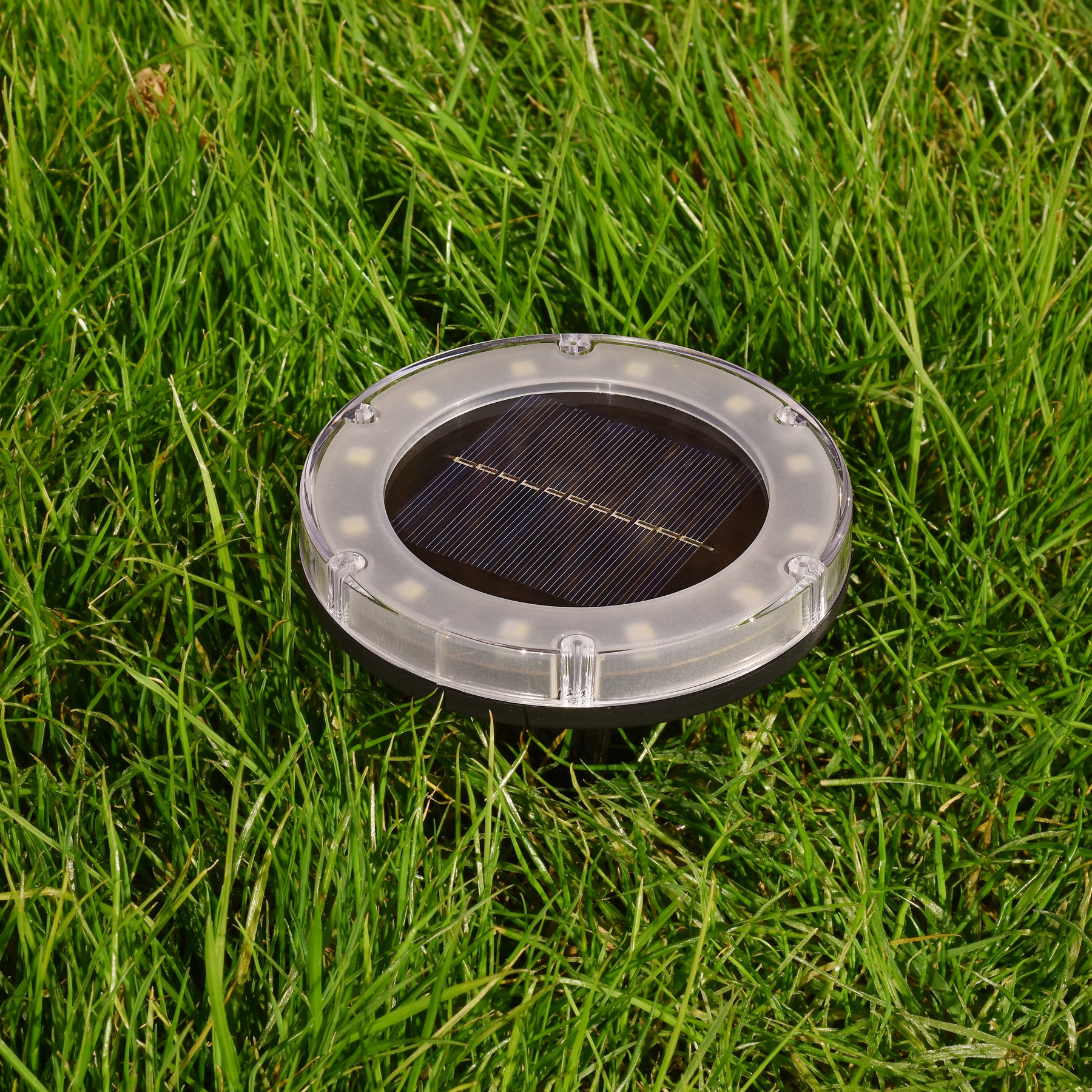 Bliss Outdoors Solar Powered Disc LED Pathway Light staked into the grass.