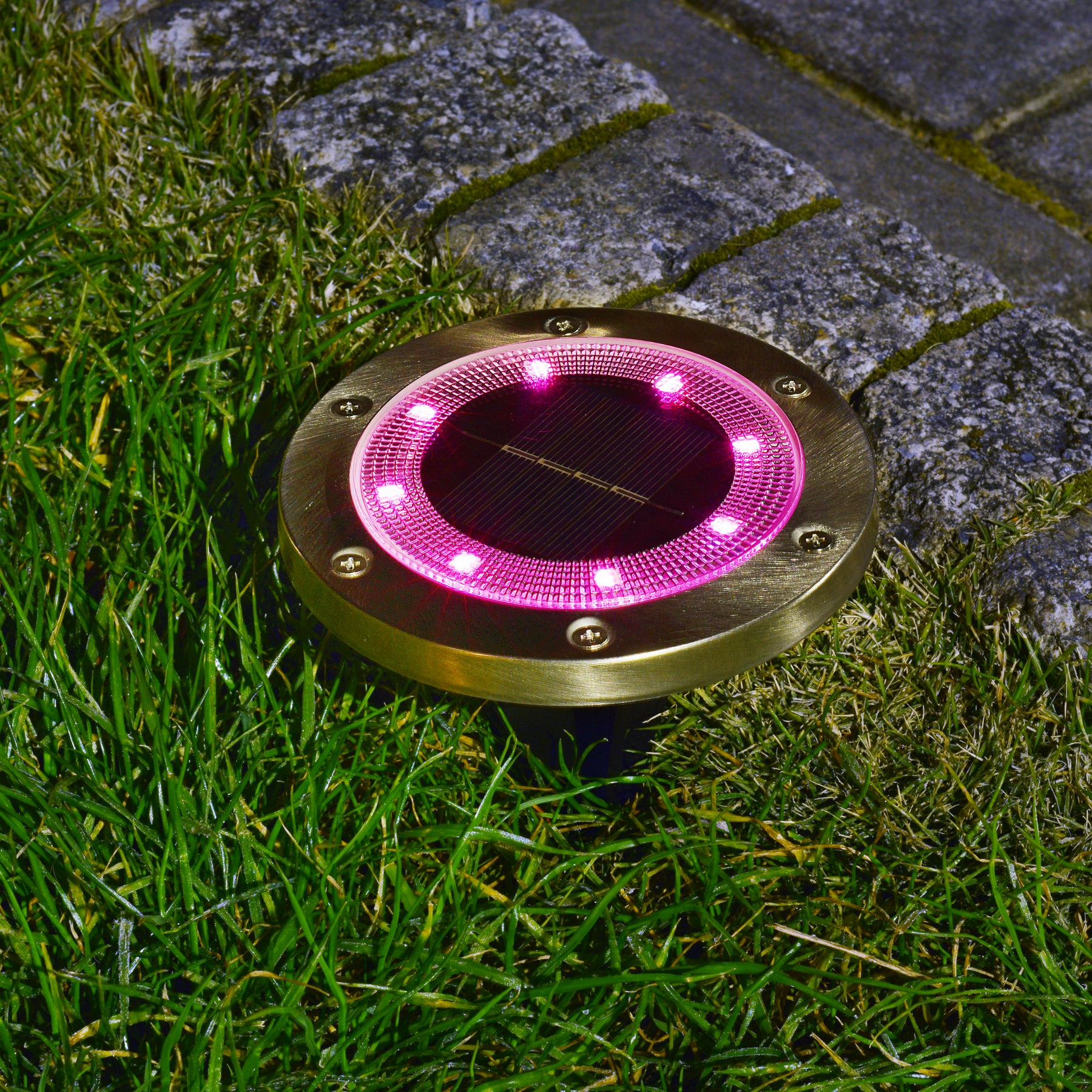 Bliss Outdoors Solar Powered LED Metal Disc Pathway light in the ground lighting up pink.